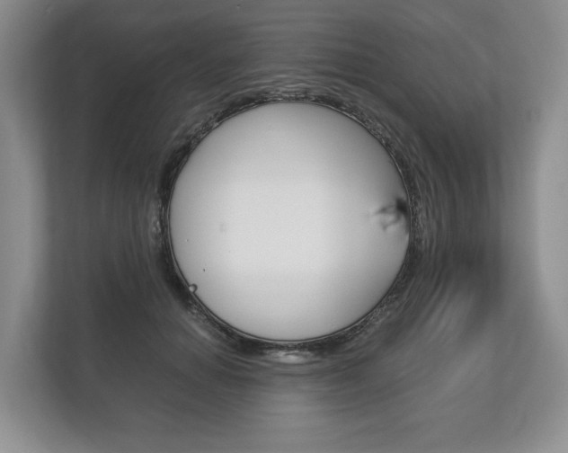 X0000113170654200909040935