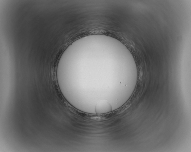 X0000113170659200909040935