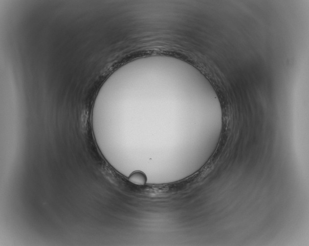 X0000113170660200909040935