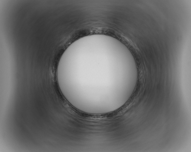 X0000113170661200909040935