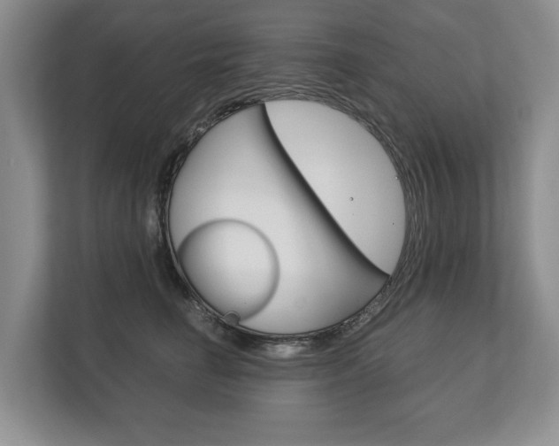 X0000113170662200909040935