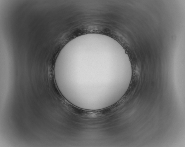 X0000113170663200909040935