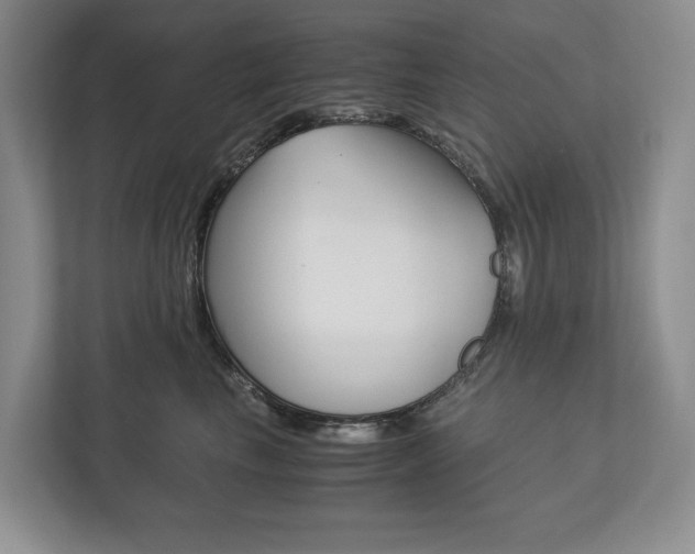 X0000113170665200909040935