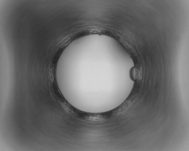X0000113170666200909040935