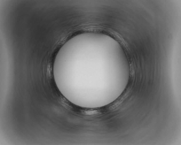 X0000113170669200909040935