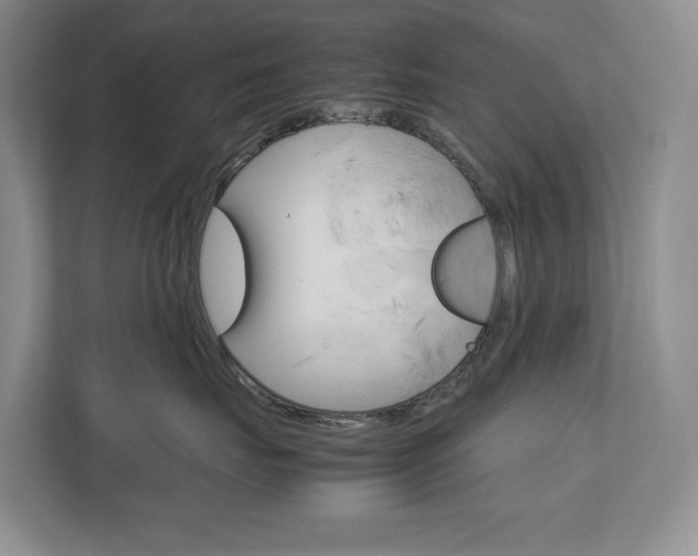 X0000113170671200909040935
