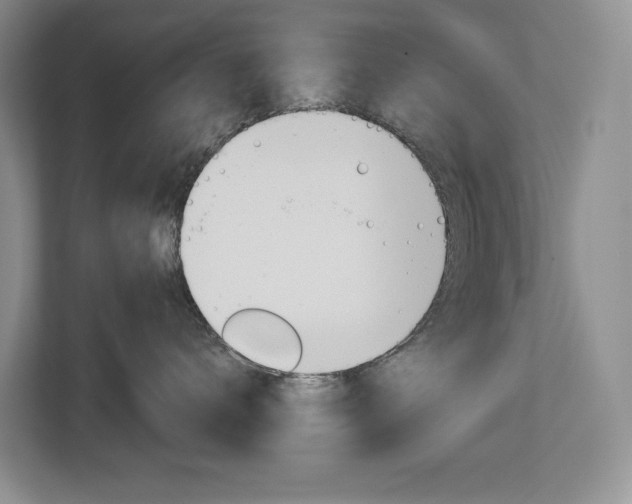 X0000113170672200909040935