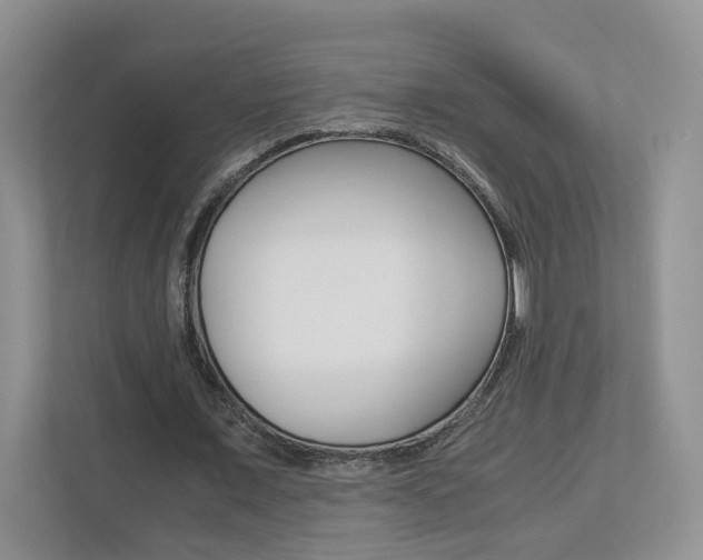 X0000113170675200909040934