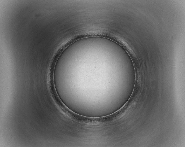 X0000113170677200909040934