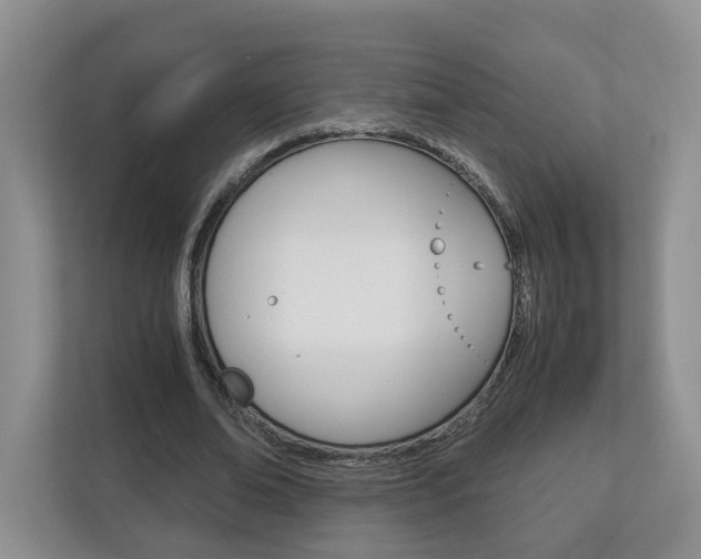 X0000113170678200909040934