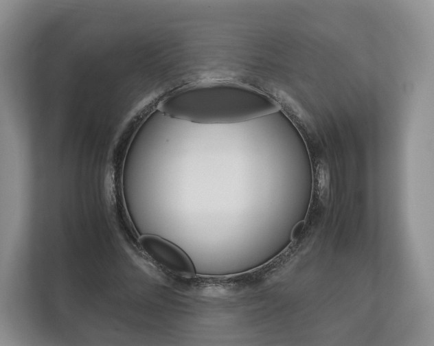 X0000113170684200909040934