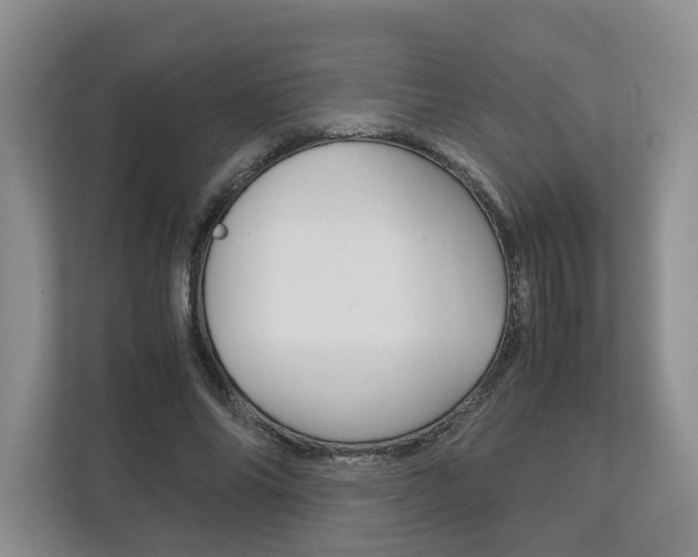 X0000113170686200909040934