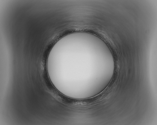 X0000113170691200909040934