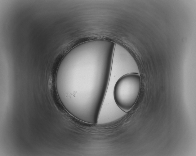 X0000113170693200909040934