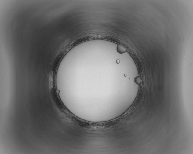 X0000113170694200909040934