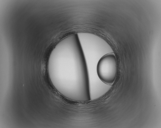 X0000113170697200909040934