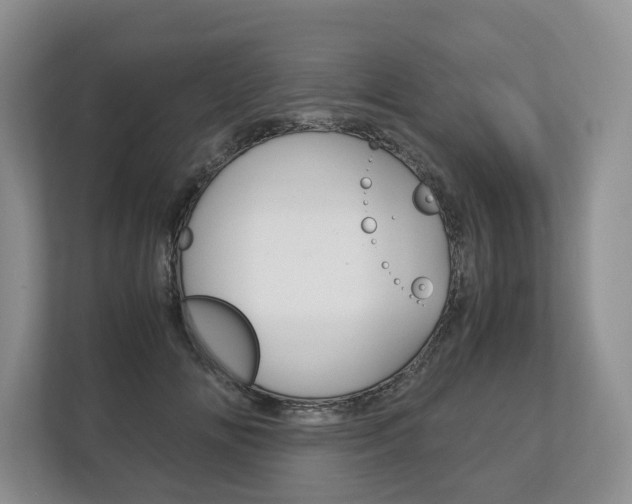 X0000113170702200909040934