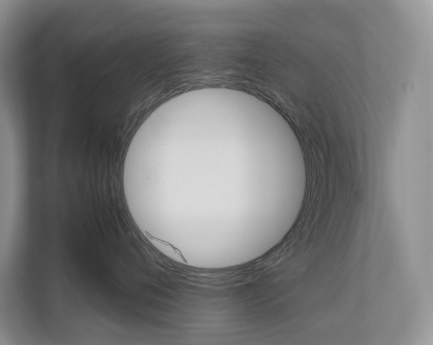 X0000113170720200909040934