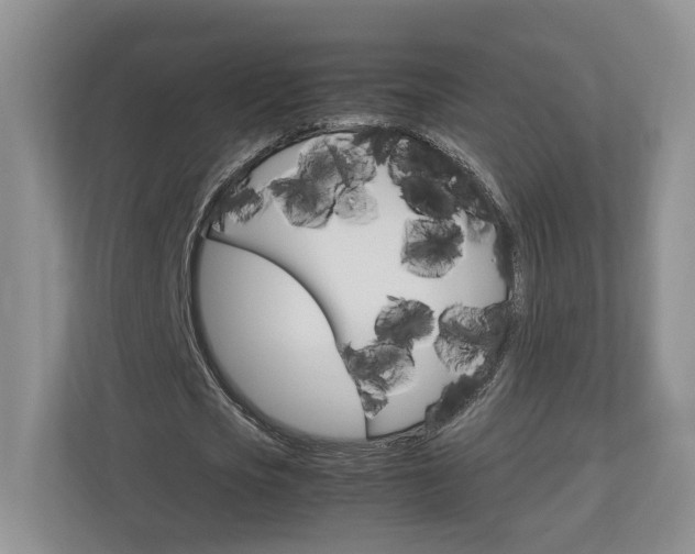 X0000113170721200909040933