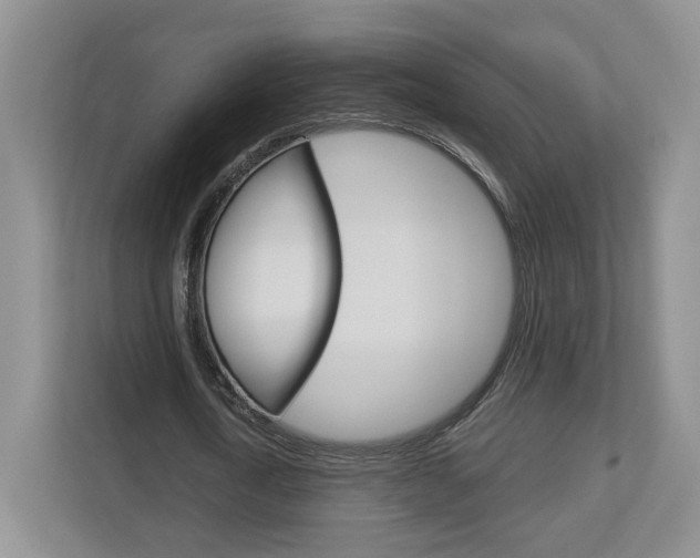 X0000113170722200909040933