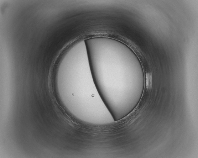 X0000113170723200909040933
