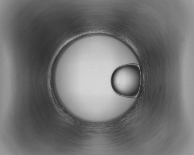 X0000113170724200909040933