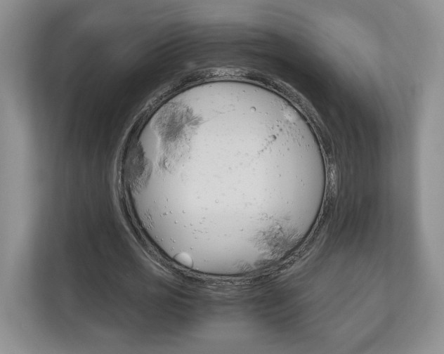 X0000113170725200909040933