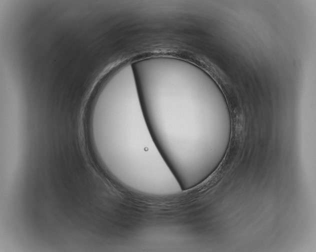 X0000113170727200909040933