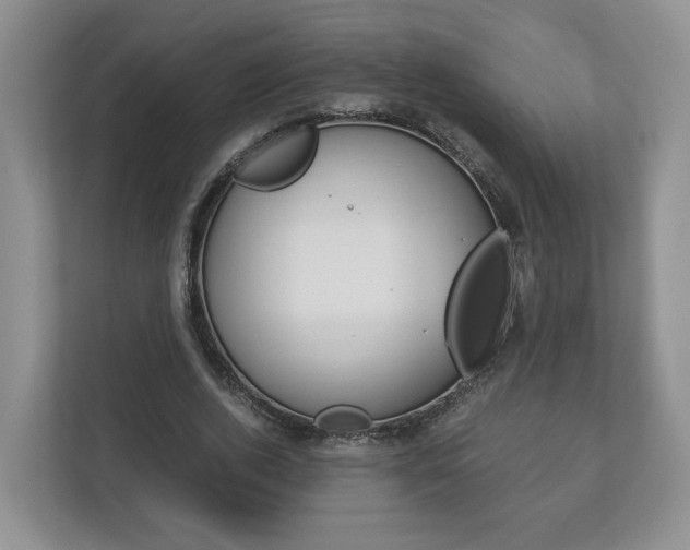 X0000113170728200909040933