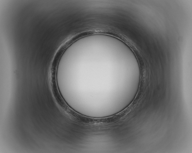 X0000113170730200909040933