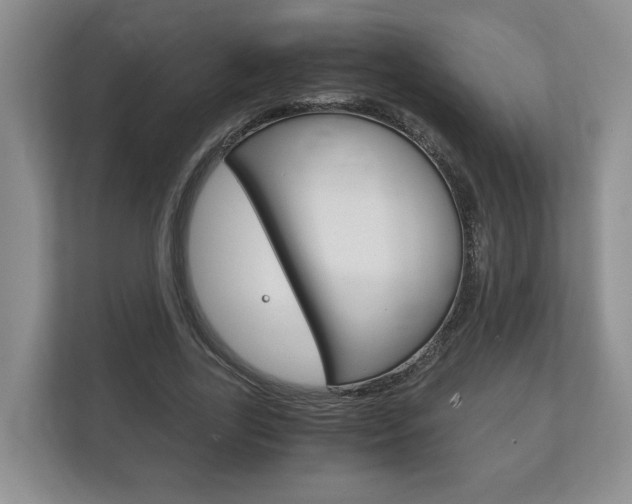 X0000113170731200909040933