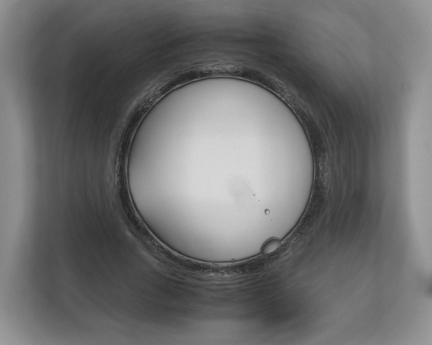 X0000113170735200909040933