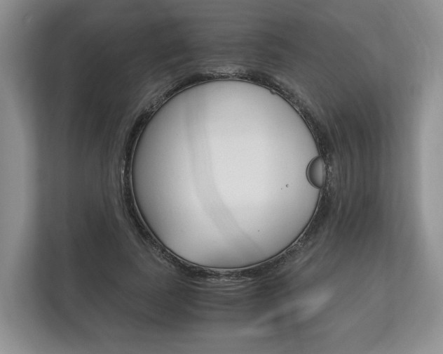 X0000113170739200909040933