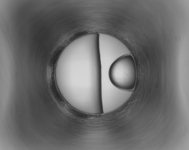 X0000113170742200909040933