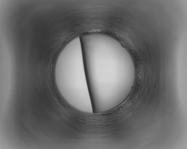 X0000113170743200909040933