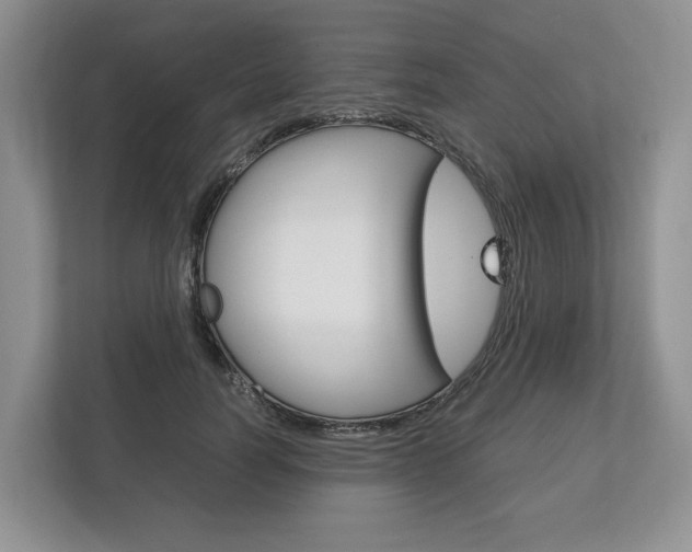 X0000113170746200909040933