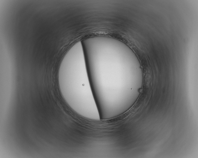X0000113170747200909040933