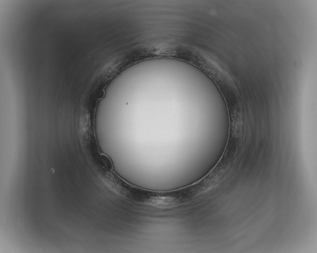 X0000113170748200909040933
