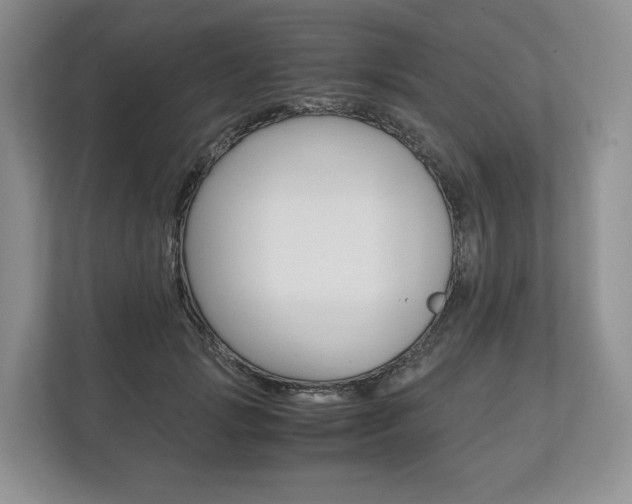 X0000113170749200909040934