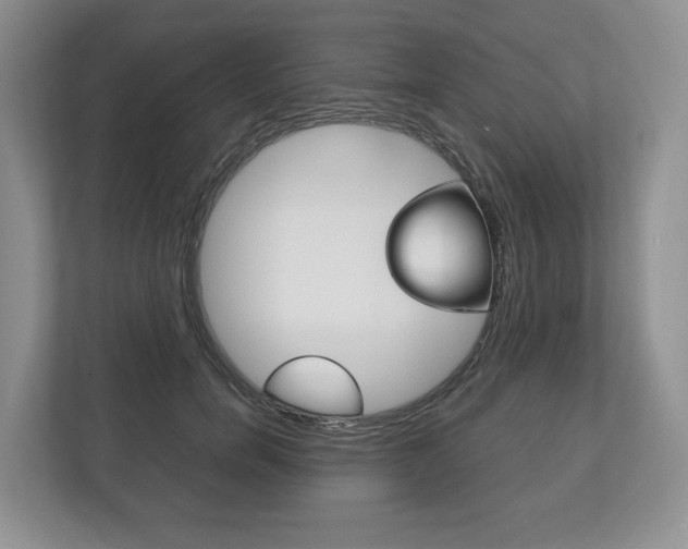 X0000113170750200909040934