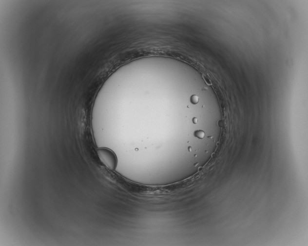 X0000113170752200909040934