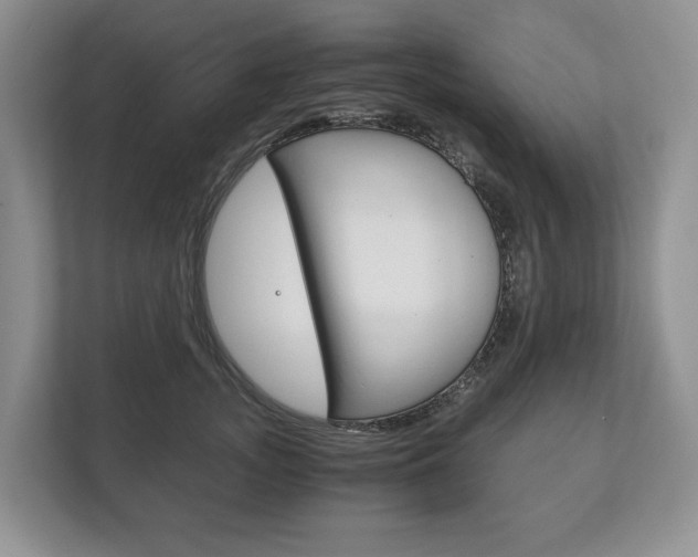 X0000113170755200909040934