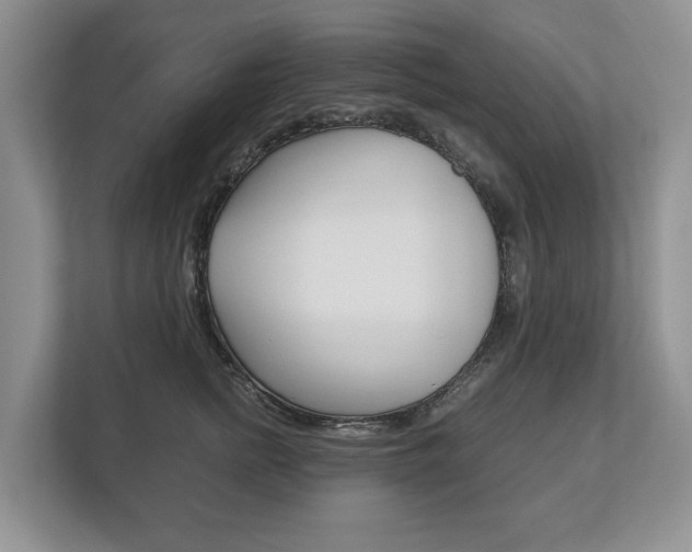 X0000113170758200909040934