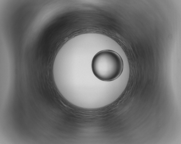 X0000113170760200909040934