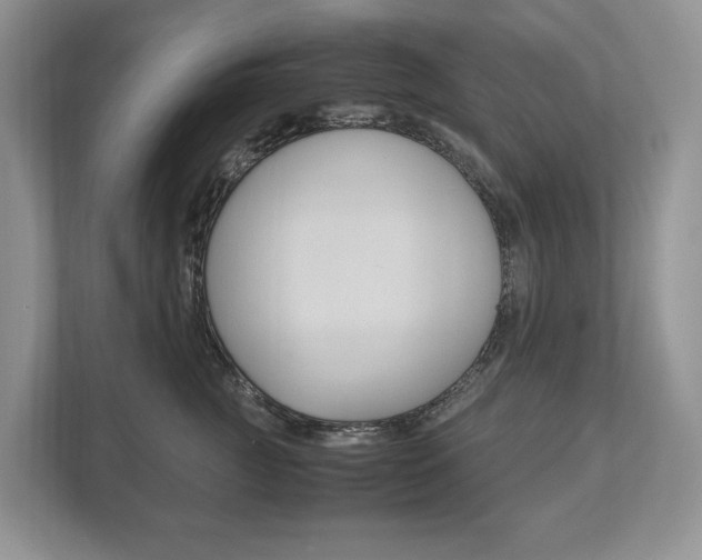 X0000113170761200909040934