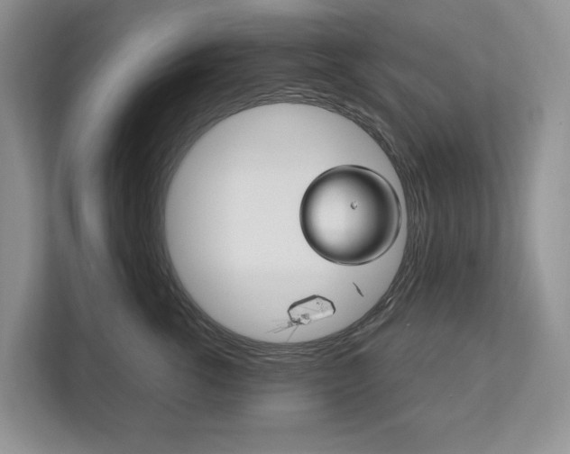 X0000113170762200909040934