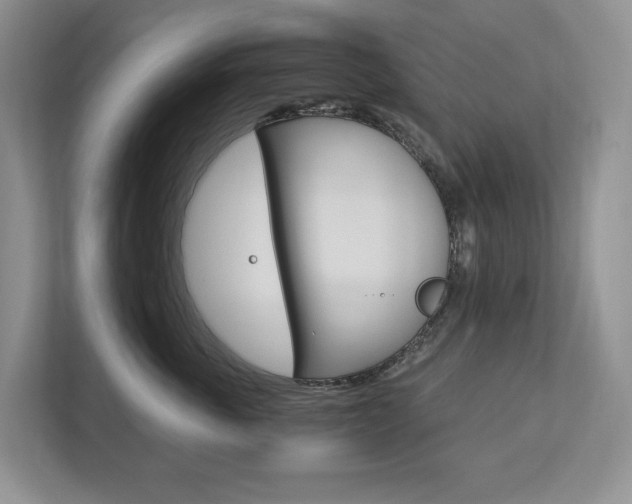 X0000113170763200909040934