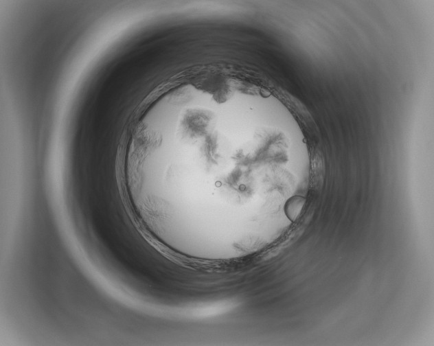 X0000113170765200909040934