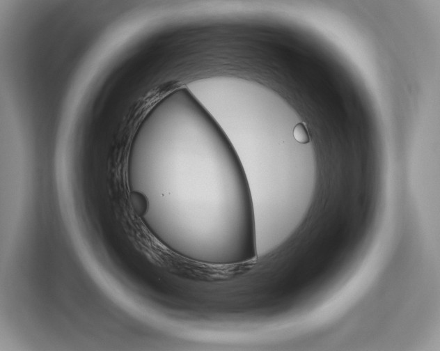 X0000113170766200909040934