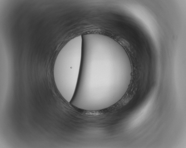 X0000113170767200909040934